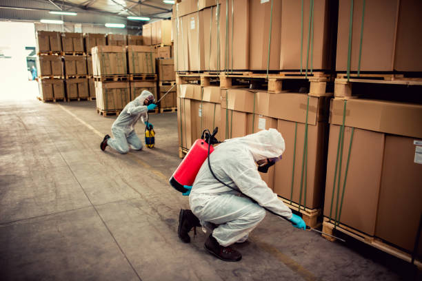 Reliable Arcade, GA Pest Control Solutions