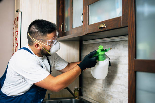Best Flea Control Services  in Arcade, GA