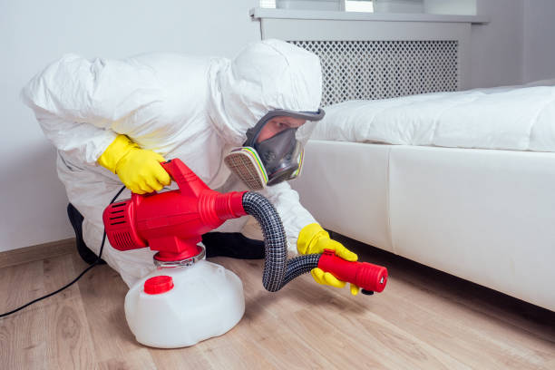 Best Bed Bug Extermination  in Arcade, GA