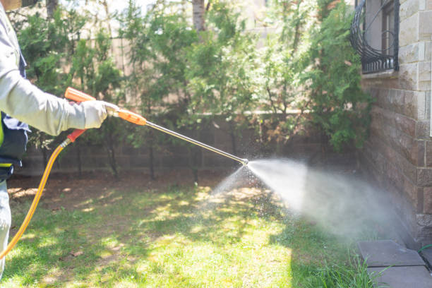 Best Affordable Pest Control Services  in Arcade, GA