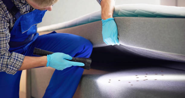 Best Pest Prevention Services  in Arcade, GA