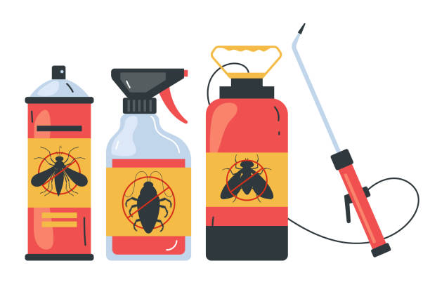 Best Termite Control Services  in Arcade, GA