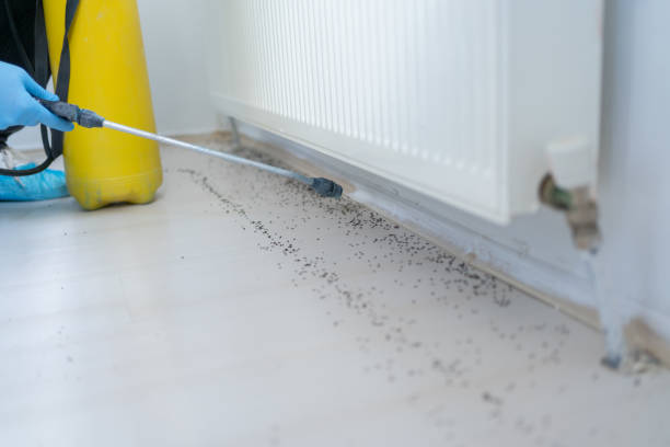 Best Commercial Pest Control Services  in Arcade, GA