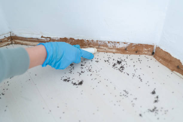 Pest Prevention Services in Arcade, GA