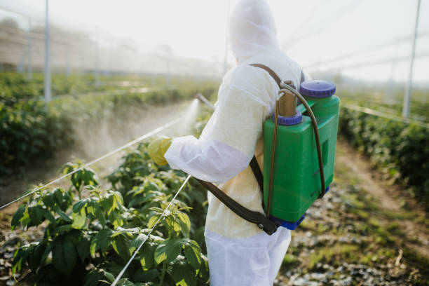 Best Wasp Removal Services  in Arcade, GA